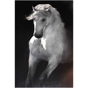 Into the Light Giclée by Robert Dawson, 24x16 in.